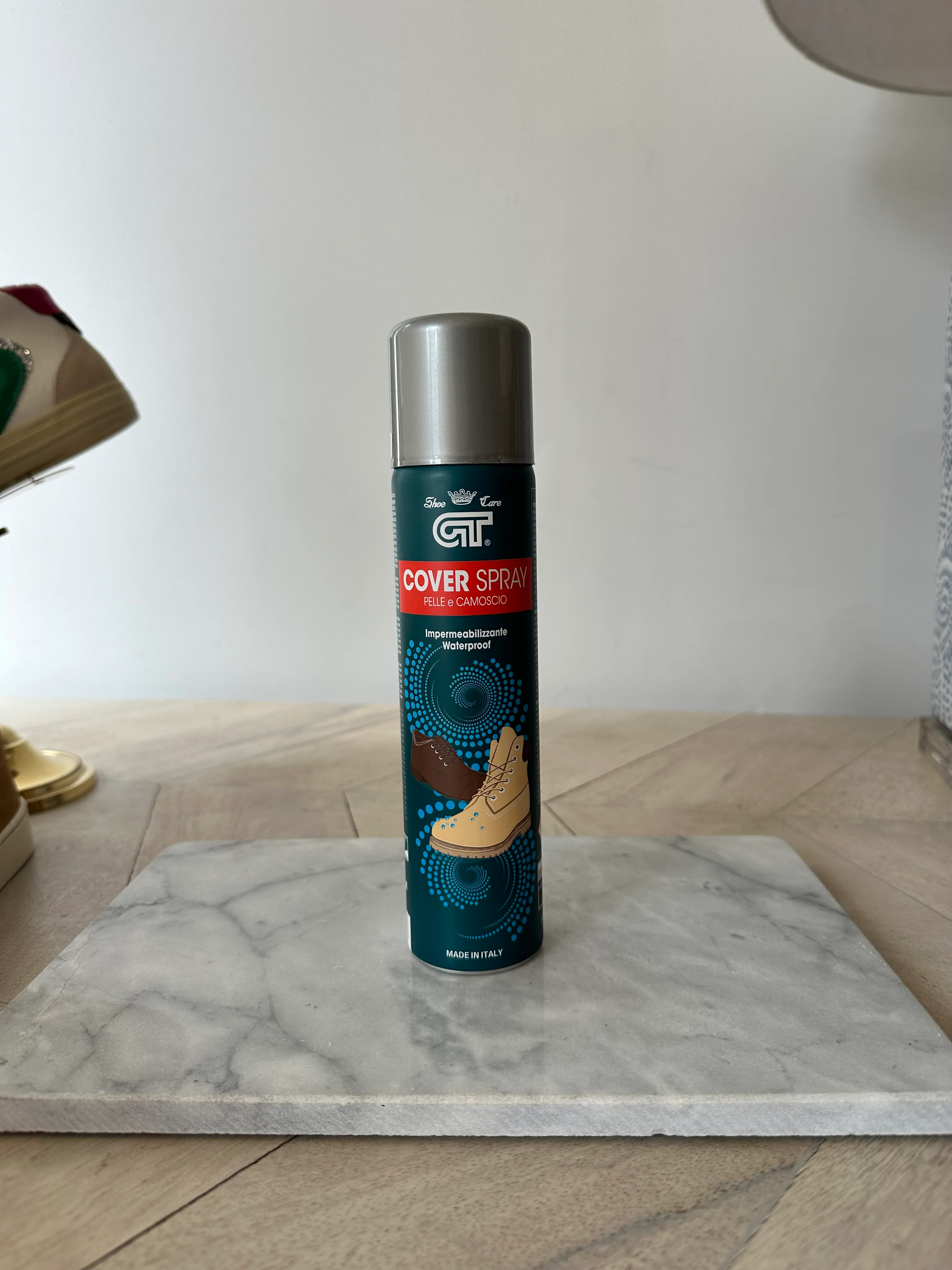 Shoe Protector spray
